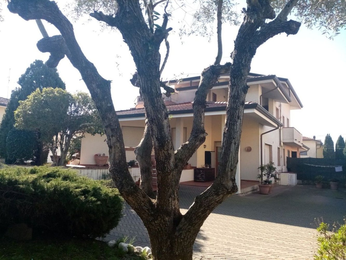 Estudio en Massarosa, Italy No. 134734