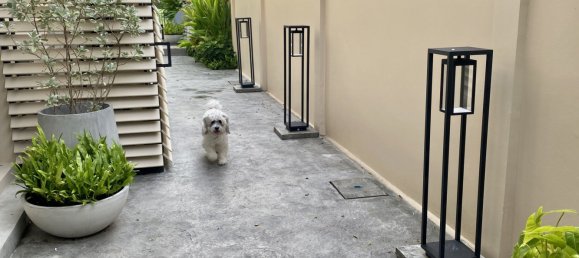 4 Schlafzimmer Stadthaus in Phuket, Thailand, Nr. 63622 11