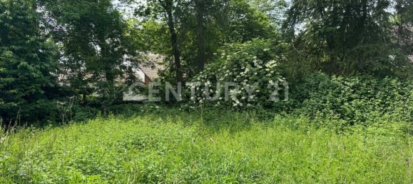 Terreno en Duren, Germany No. 79044 5