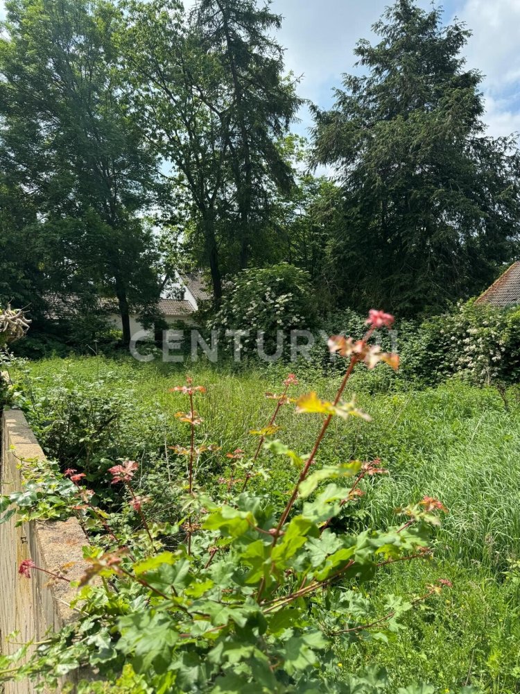 Terreno en Duren, Germany No. 79044