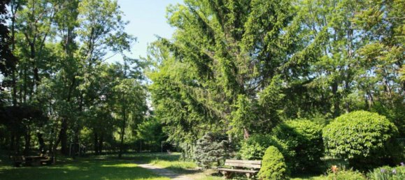 4 rooms Apartment in Modling, Austria No. 129220 12