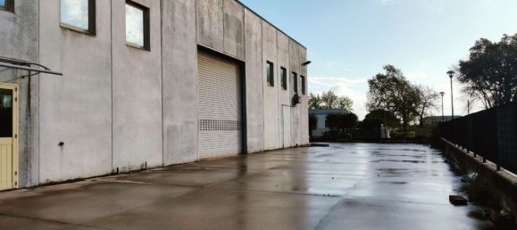 1650m² Warehouse in Montecosaro, Italy No. 170112 2