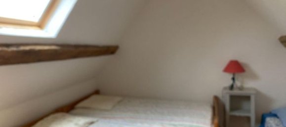 2 bedrooms House in Azay-le-Ferron, France No. 314223 7