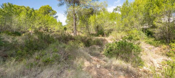 Terreno em Alicante, Spain N.º 141946 4