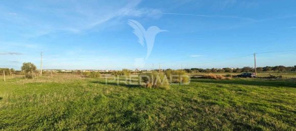 Земельный участок в Абрантиш, Португалия № 190408 9