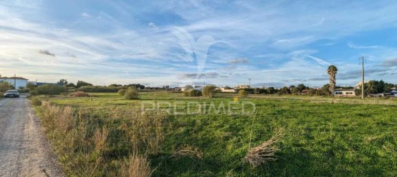 Земельный участок в Абрантиш, Португалия № 190408 6