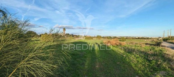 Земельный участок в Абрантиш, Португалия № 190408 10
