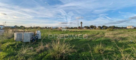 Земельный участок в Абрантиш, Португалия № 190408 4