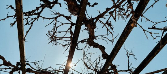 Квартира с 3 спальнями в Винер Нойштадт, Австрия № 126477 2