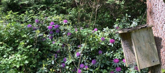 Casa de 4 habitaciónes en Mogersdorf, Austria No. 211993 3