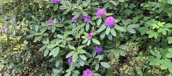 Casa de 4 habitaciónes en Mogersdorf, Austria No. 211993 4