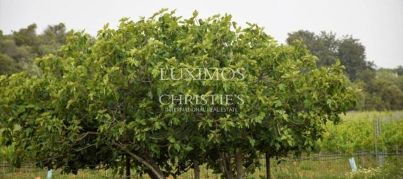 Земельный участок 101520м² в Албуфейра, Португалия № 10088 14