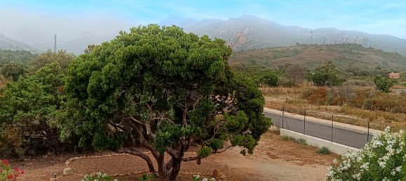 3 bedrooms Villa in Lecci, France No. 268009 26