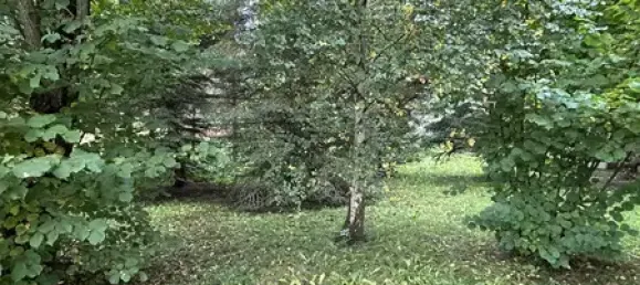 Casa de 6 divisões em Hochsauerlandkreis, Germany N.º 78676 12