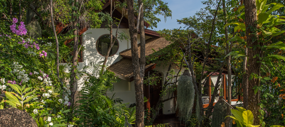 3 bedrooms Cafe / restaurant in Ko Samui, Thailand No. 22453 23