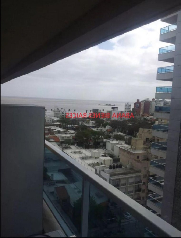 Studio in Montevideo, Uruguay No. 9523