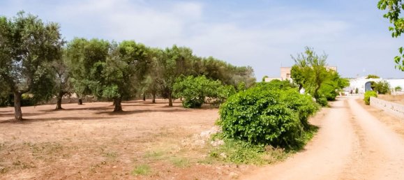 5غرفة منزل في San Vito dei Normanni, Italy رقم 223154 3