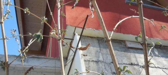 Здание 352м² в Тельо, Италия № 72657 13