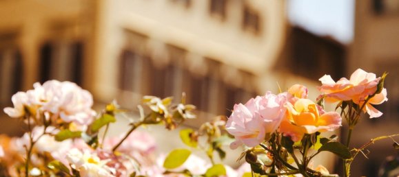 Hotel in Florence, Italy 550m², Nr. 277976 12