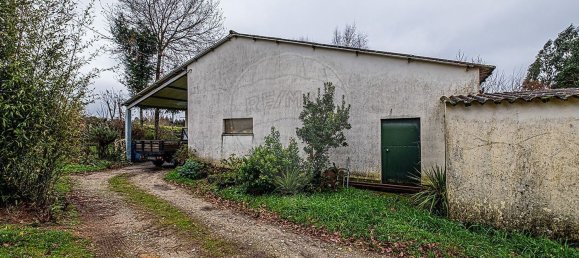 Casa T2 em Vila Nova de Paiva, Portugal N.º 160065 15