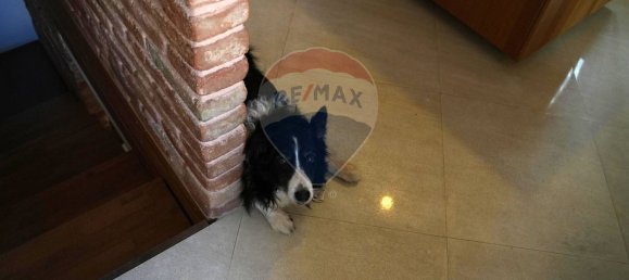 6 bedrooms House in Vinchiaturo, Italy No. 333411 5