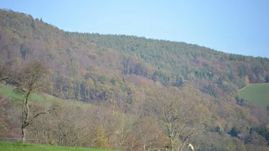 2-Zimmer Grundstück in Andritz, Austria, Nr. 15561