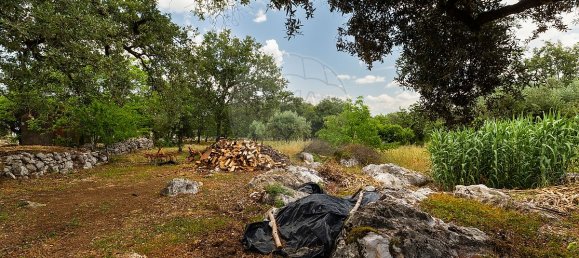 2 Schlafzimmer Haus in Abiul, Portugal, Nr. 26275 26