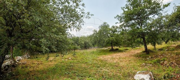 2 Schlafzimmer Haus in Abiul, Portugal, Nr. 26275 29