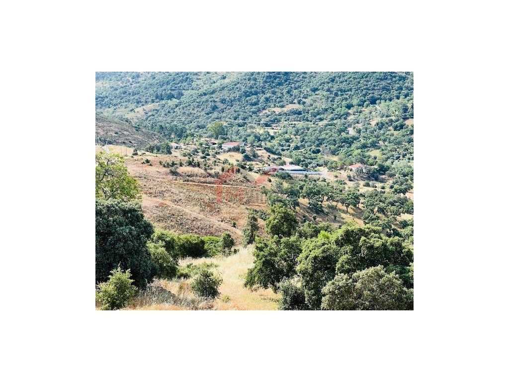 47331m² Land in Sao Bras de Alportel, Portugal No. 251325