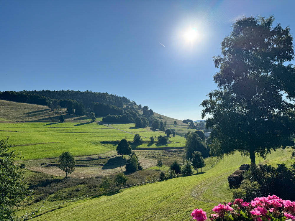 Casa de 5 dormitorios en Lorrach, Germany No. 325104