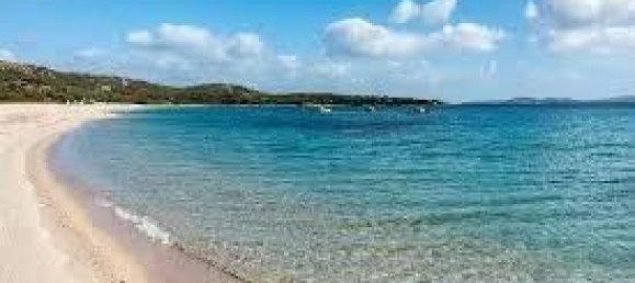 10-salle Villa à Arzachena, Italy No. 26590 40