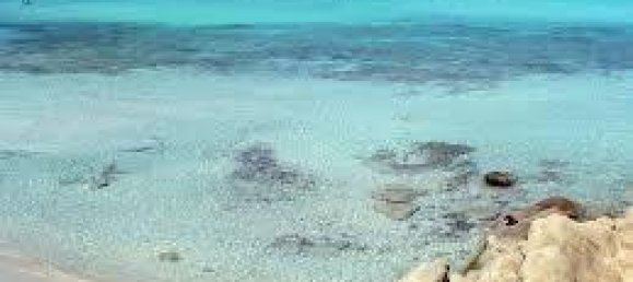 10-salle Villa à Arzachena, Italy No. 26590 35