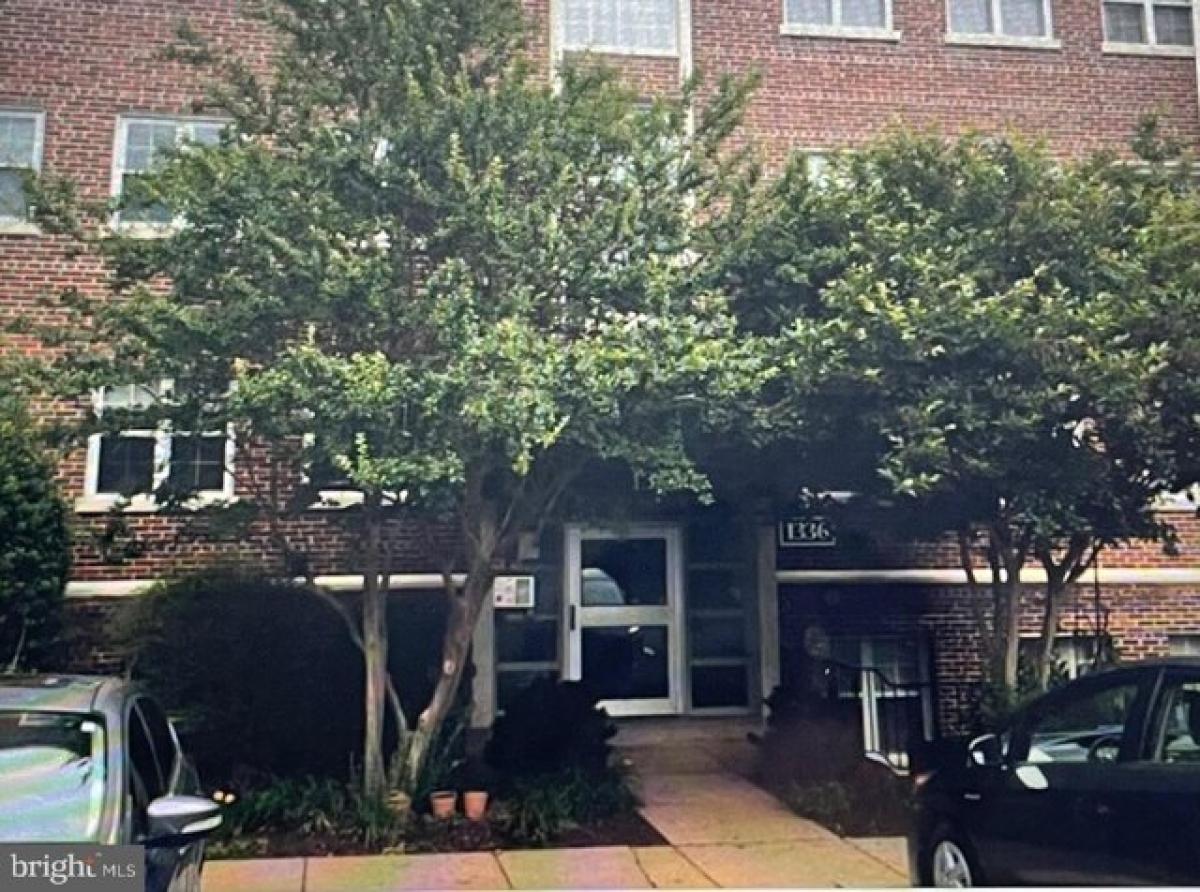 Studio à Arlington, USA No. 285269