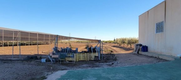 1 غرف نوم منزل في San Miguel de Salinas, Spain رقم 185196 31