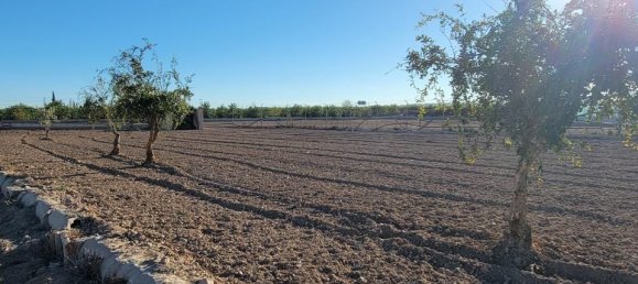 1 غرف نوم منزل في San Miguel de Salinas, Spain رقم 185196 39