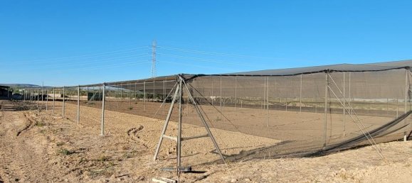 1 غرف نوم منزل في San Miguel de Salinas, Spain رقم 185196 36