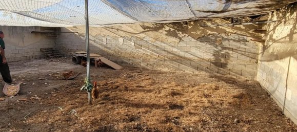 1 غرف نوم منزل في San Miguel de Salinas, Spain رقم 185196 27