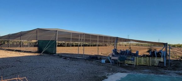 1 غرف نوم منزل في San Miguel de Salinas, Spain رقم 185196 4