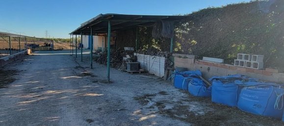 1 غرف نوم منزل في San Miguel de Salinas, Spain رقم 185196 9