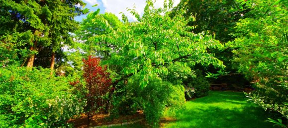 Villa de 6 divisões em Zehlendorf, Germany N.º 35822 3