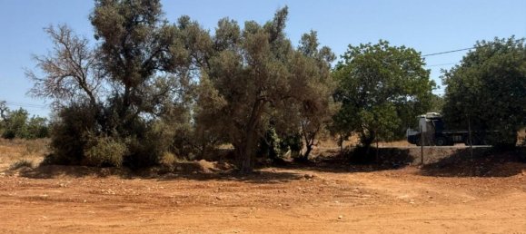  قطعة أرض في Albufeira, Portugal رقم 264589 22