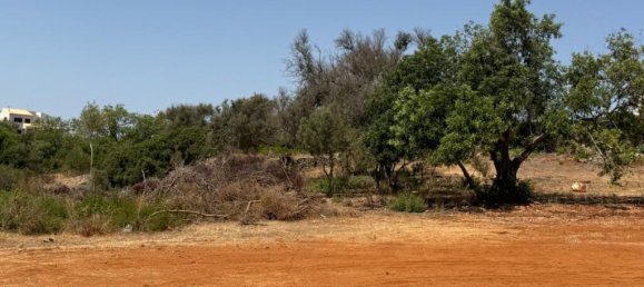  قطعة أرض في Albufeira, Portugal رقم 264589 21