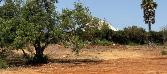 قطعة أرض في Albufeira, Portugal رقم 264589 20