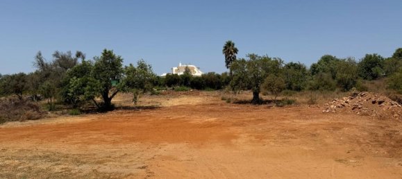  قطعة أرض في Albufeira, Portugal رقم 264589 14