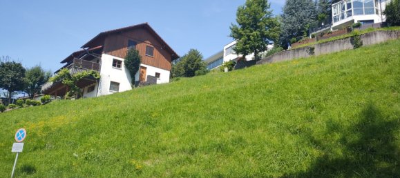  Land in Rothis, Austria No. 60759 3