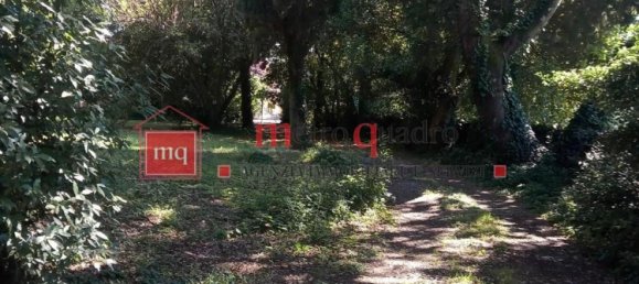 12 rooms House in San Giuliano Terme, Italy No. 205572 4