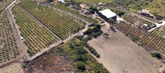 Casa T4 em Pantelleria, Italy N.º 214868 9