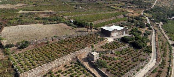 Casa T4 em Pantelleria, Italy N.º 214868 12