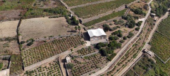 Casa T4 em Pantelleria, Italy N.º 214868 11