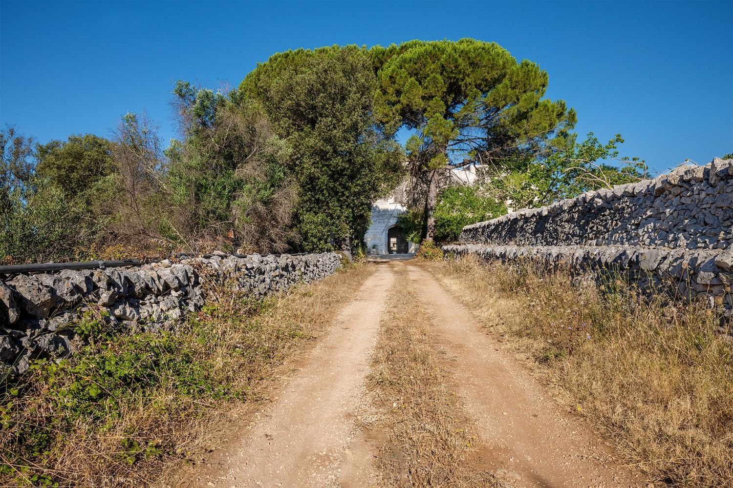 Здание 1000м² в Франкавилла Фонтана, Италия № 286646